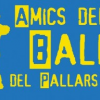 Amics del ball